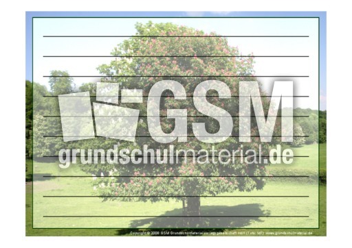 Foto-Schmuckblatt-Bäume-1.pdf